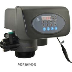 Runxın F63P3 Otomatik 1'' Yumuşatma Valfi-5 M3